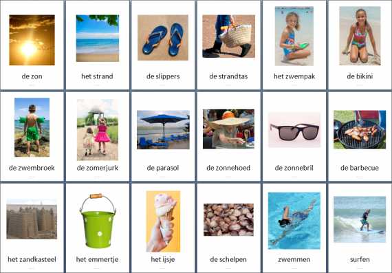 Themakaarten - zomer - groot