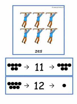Beebots - Tellen sporten