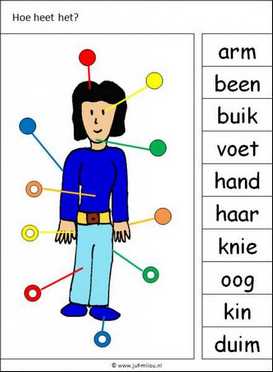 Knijpkaarten - Lichaam 01