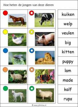 Knijpkaarten - Dieren 02