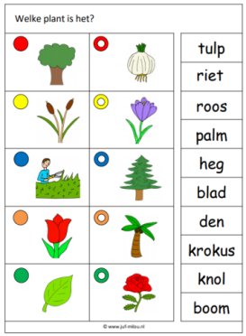 Knijpkaarten - Planten 01