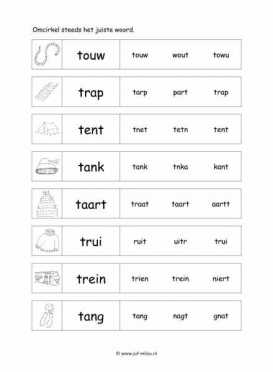Leren lezen - T juiste woord 2
