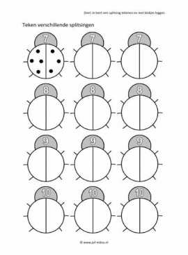 Flitskaartjes - Teken de splitsing 10