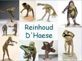 Beeldende vorming - Reinhoud D Haese