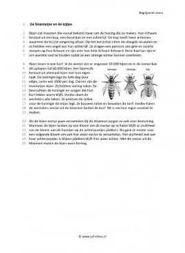 Begrijpend lezen - De bloemetjes en de bijtjes