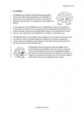 Begrijpend lezen - De schildpad