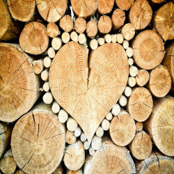 Creatief met hout: dit kun je gaan doen